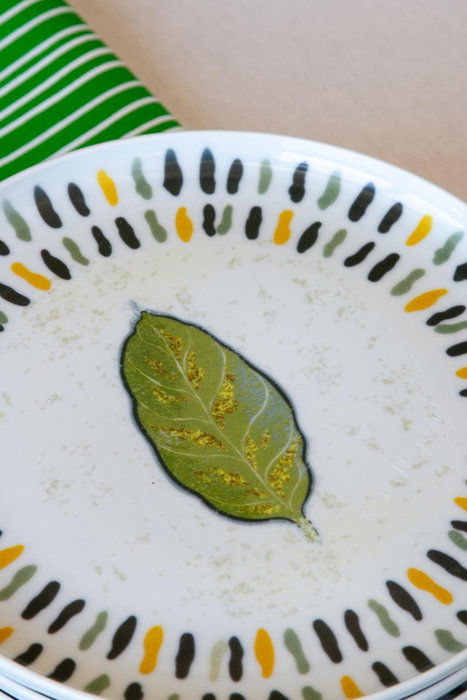 Hermia Juego de Desayuno de Porcelana de 14 Piezas en Blanco, Verde y Amarillo Hermia Juego de Desayuno de Porcelana de 14 Piezas en Blanco, Verde y Amarillo